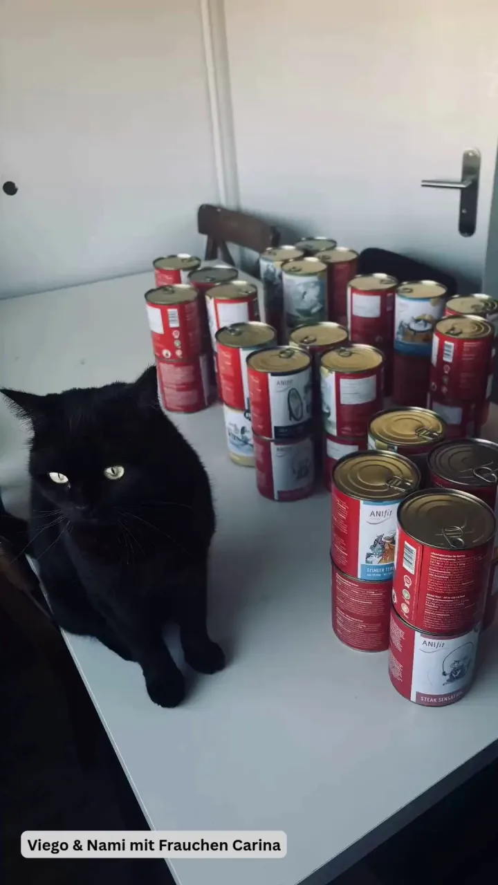 Endlich wird der Napf leer!